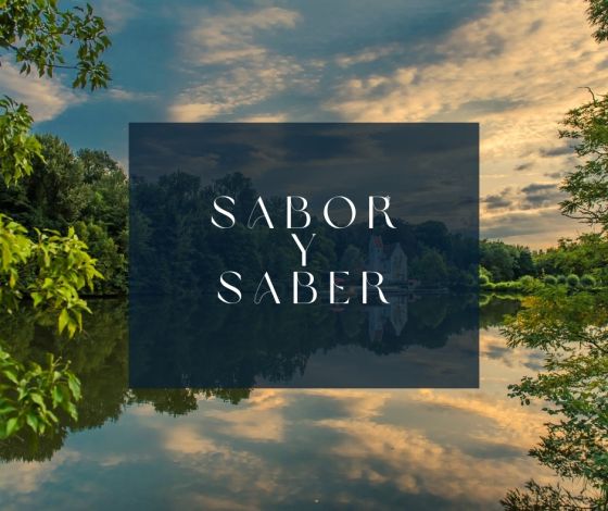 SABOR Y SABER - fine wine & dining event | vrijdag 21 november 25 - 07 pm